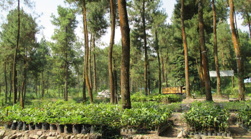 ekowisata-jurang-jero SRUMBUNG MAGELANG