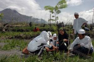 penghijauan jurang jero