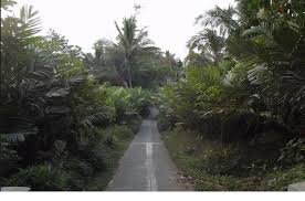 JALAN PERKEBUNAN SALAK SRUMBUNG