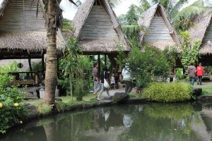 muara kapuas with meraja